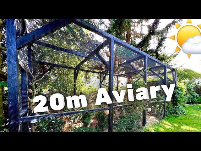 Bird Breeding Update | Finches, Softbills, Canary, Budgies | Bird Aviary | S2:Ep13 #birds #nature