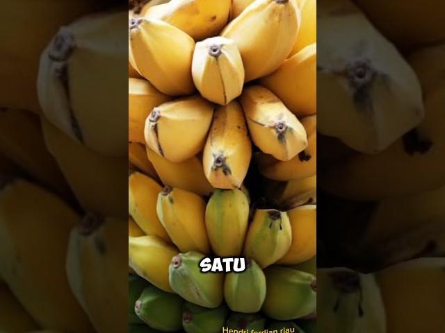 part 3,,ini adalah 10 macam buah yang disukai presiden joko widodo ini dia buah buah nya