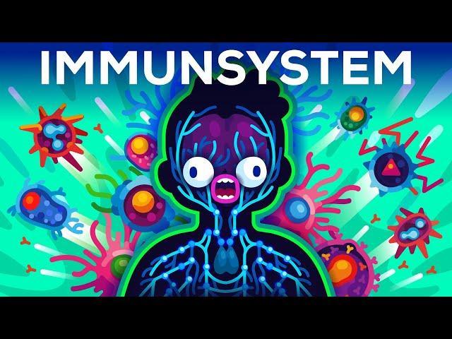 Das Immunsystem erklärt