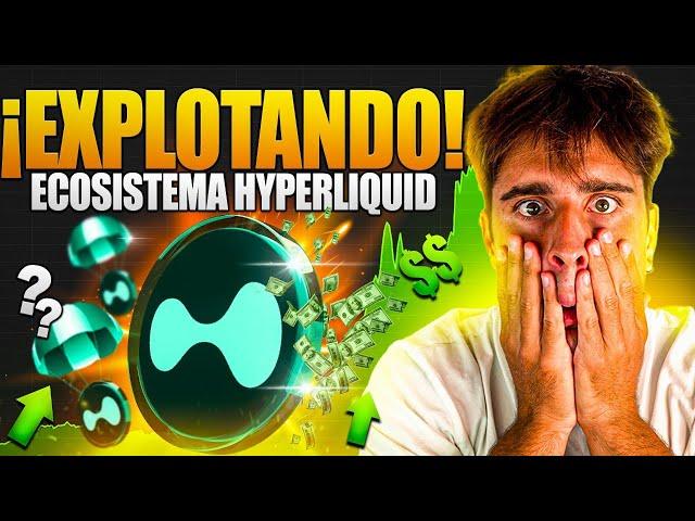 mi PLAN para GANAR MUCHO DINERO con HYPERLIQUID (Todo explicado)