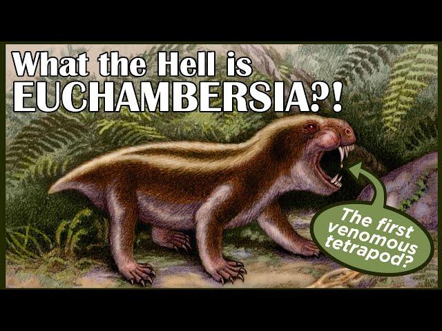 What the Hell is Euchambersia?!