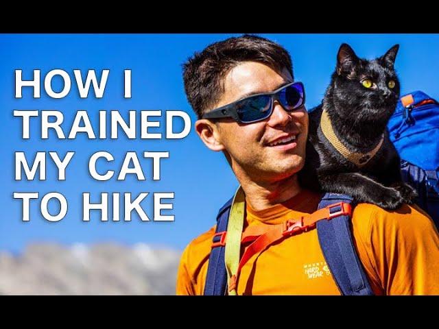 How to Train your Cat for hikes