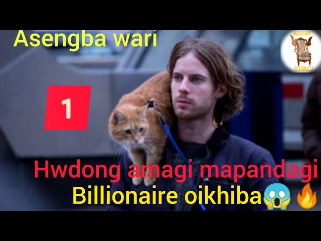 Real story of James and Bob/A Street cat named Bob Explanation/Survival Story/Manipuri viral  