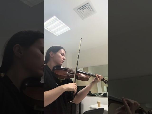 How to play Dinicu Hora staccato  using 'The Shonert Technique" https://shonertacademy.com/