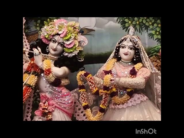 Hare Krishna program Dubai dmcc 27-10-24 Gita 6.38