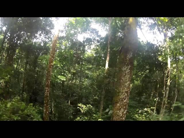 Zip line in the Amazon with Street View