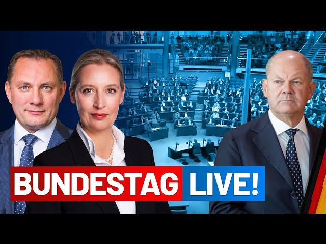 SCHOLZ STELLT VERTRAUENSFRAGE LIVE - 205. Sitzung - AfD-Fraktion im Bundestag