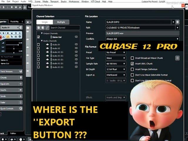 Cubase 12 Pro, Can't see the export button issue fixed
