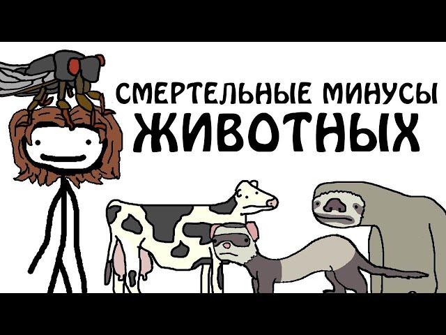 "Смертельные минусы некоторых животных" - Академия Сэма О'Нэллы (Русская Озвучка Broccoli)