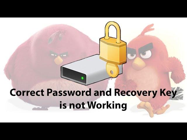 Solved: Bitlocker Won't Unlock With Correct Password and Recovery Key After Reinstalling Windows