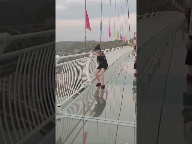 China glass bridge funny video  #shorts #viral #mrbeast #girl