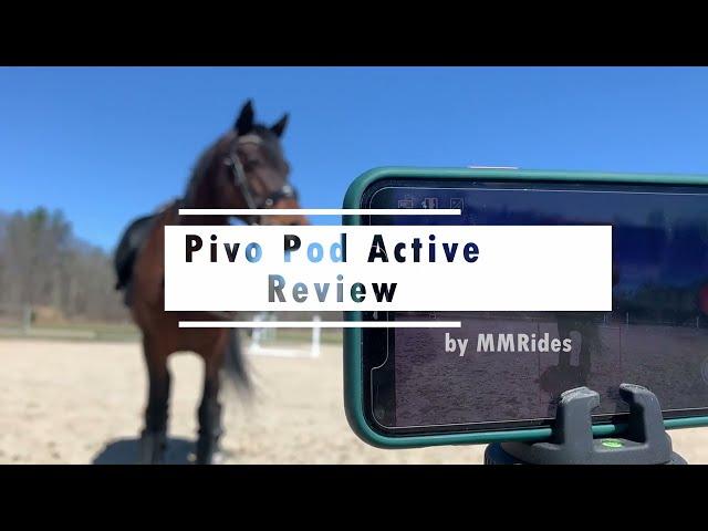 Pivo Pod Active (Horse Mode) - Is it worth it? - Equestrian Review