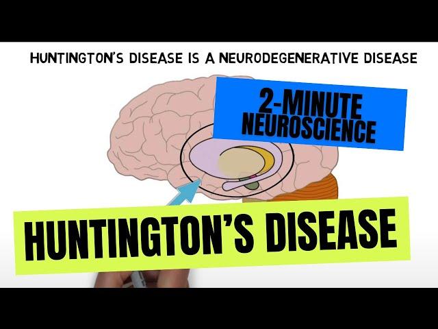 2-Minute Neuroscience: Huntington's disease