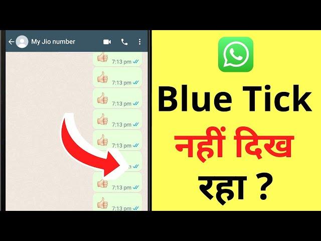 WhatsApp Par Blue Tick Na Aaye To Kya Karen | WhatsApp Blue Tick Kyu Nahi Lag Raha Hai