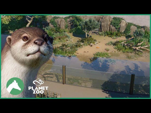 Asian Small-Clawed Otter Habitat | Elm Hill City Zoo | Planet Zoo