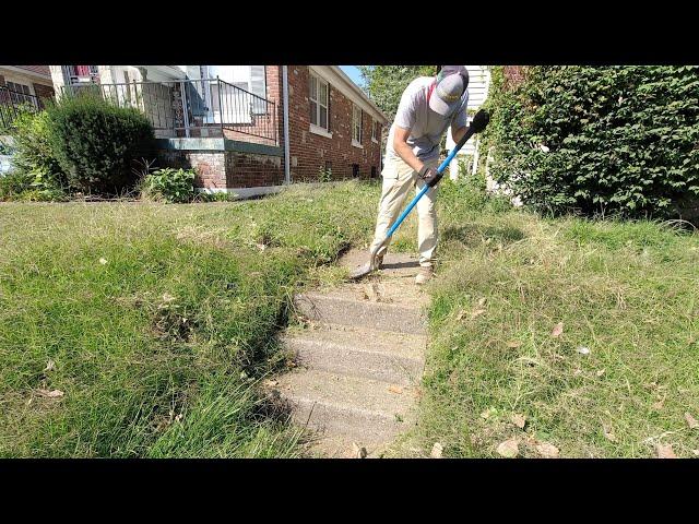 SLUMLORD doesn't mow to the point the STAIRS ARE DISAPPEARING