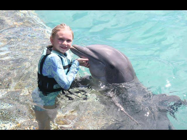 Swimming with Dolphins || Плавание с Дельфинами