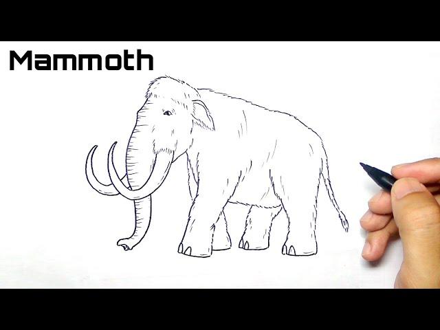 how to draw a mammoth easily