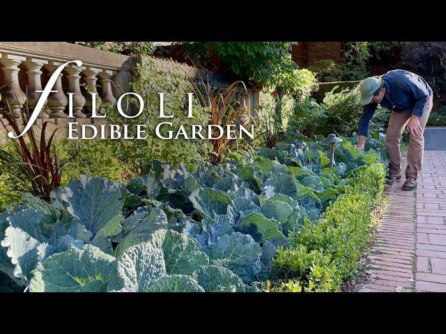 Planting an Edible Garden | Filoli's Fruitful Garden