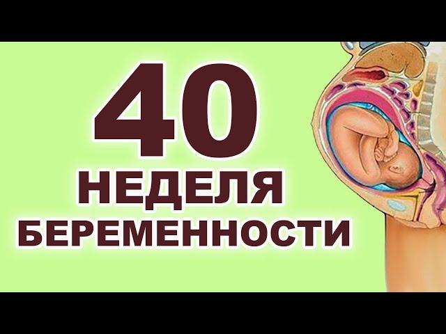 Что происходит с ребенком и мамой на 40 неделе беременности? 9 месяц беременности. Третий триместр.