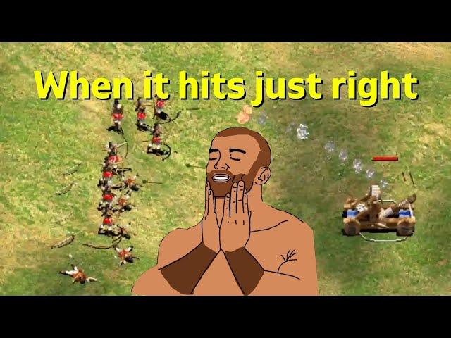 AoE2 B L E S S E D Footage