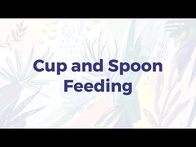 Cup and Spoon Feeding