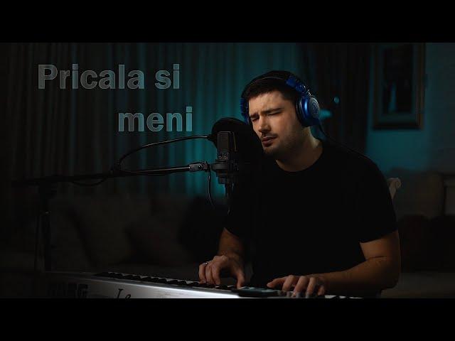 LJUBA PERUCICA - PRICALA SI MENI (COVER)