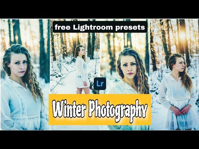 Winter Photography Lightroom presets/Winter Photography Presets Free Download