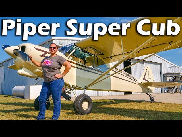 Piper Super Cub - The Original Bush Plane