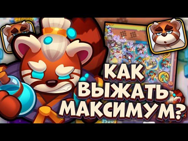 Мастер Стихий - Предел по урону  | Rush Royale