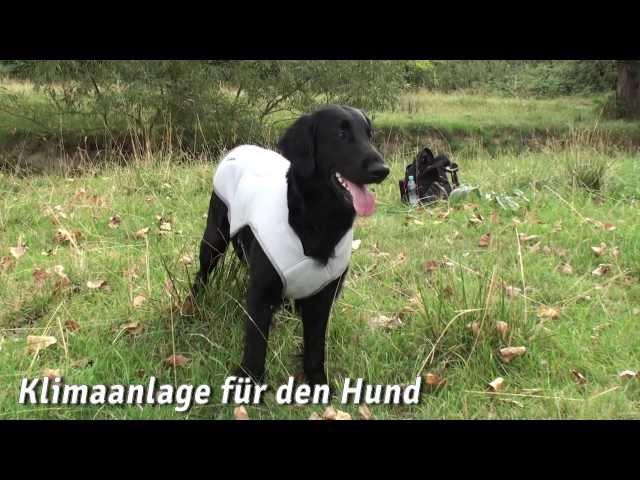 Ruffwear Swamp Cooler Kühlweste | HUND-unterwegs.de