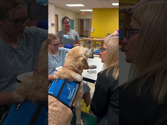 Physical Therapy with Our Facility Dog Brea- Johns Hopkins All Children's Hospital