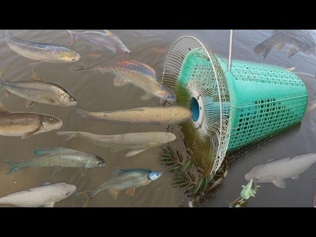 Creative Girl Make Fish Trap Using PVC - Fan Guard -  Basket To Catch A Lot of Fish