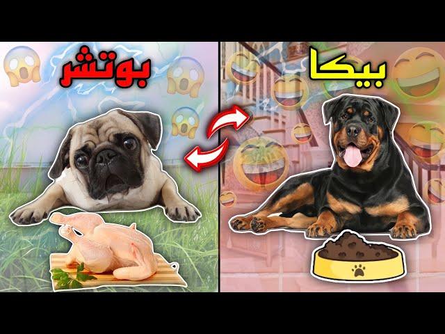 بدلت حياه بوتشر بحياه بيكا لمده 24 ساعه | هيعرفوا يعيشوا مكان بعض ولا لا 