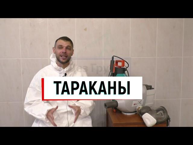 Тараканы в квартире или доме  Как ИЗБАВИТЬСЯ от тараканов?  Лучшее средство от тараканов