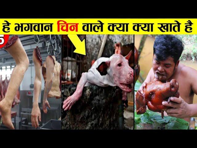 हे भगवान चीन के लोग क्या क्या खा जाते है | chin ka khana | Strange Food People Eat Most unusual Food