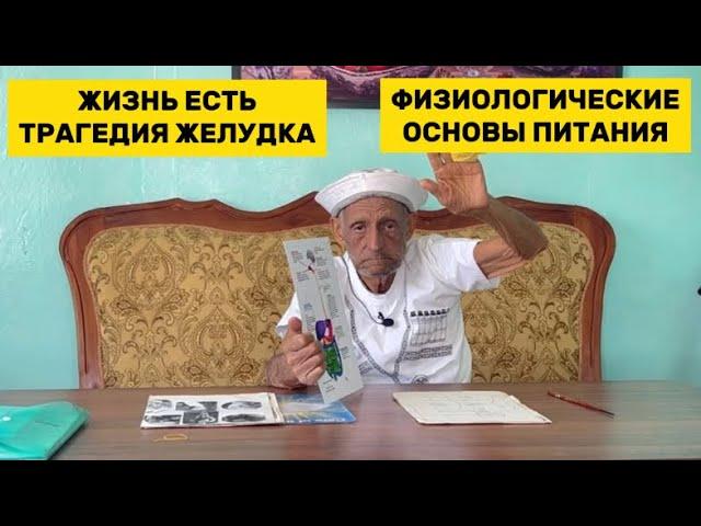 ЖЕЛУДОК | ОСНОВЫ ПИТАНИЯ