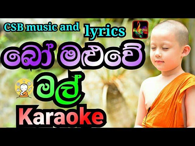 Bo Maluwe Mal Karaoke(Without Voice)|බෝ මළුවේ මල් Karaoke|CSB Music And Lyrics|Sanath Nandasiri