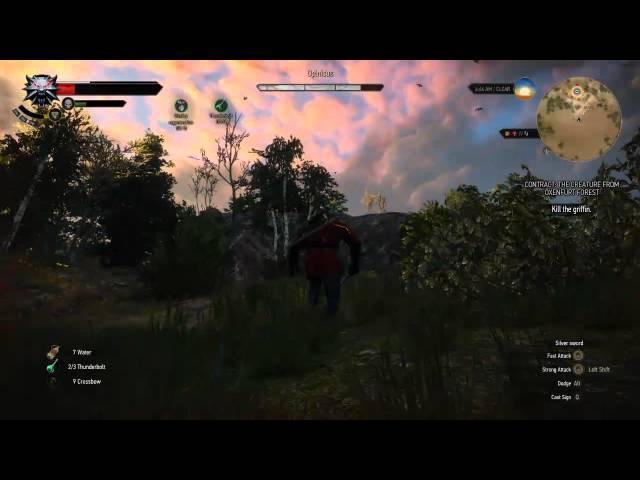 The Witcher 3 Game Guide - Fight with Opinicus