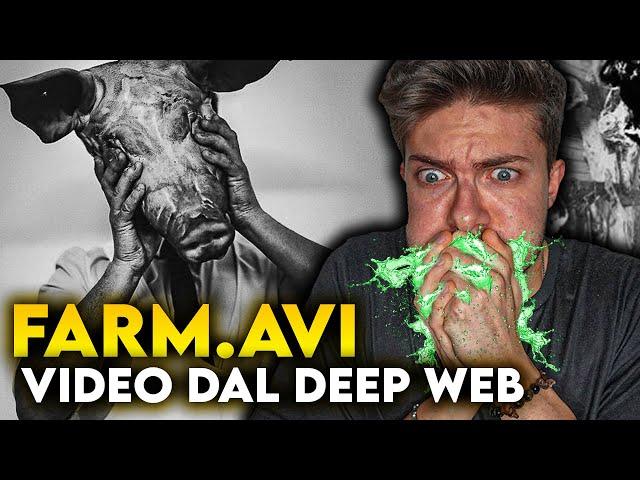 FARM.AVI: la LEGGENDA del DEEP WEB | Jematria