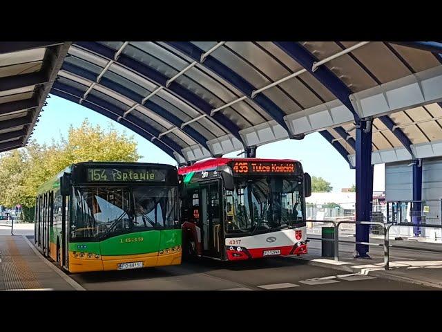 Autobusy w Poznaniu - latem 2023
