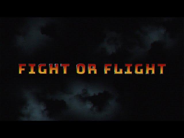 Alison Wonderland x MEMBA - Fight or Flight (Visualizer)