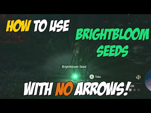 How to use Brightbloom Seeds with NO arrows in Zelda Tears of the Kingdom