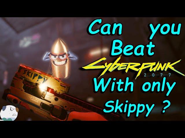 Can you beat Cyberpunk 2077 with only Skippy?