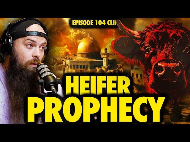 Red Heifer Prophecy Unfolding: What’s Happening on the Temple Mount? | Ninjas Are Butterflies