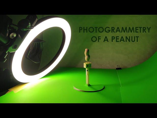 3D Scanned Peanut - Photogrammetry Workflow Agisoft Metashape Standard