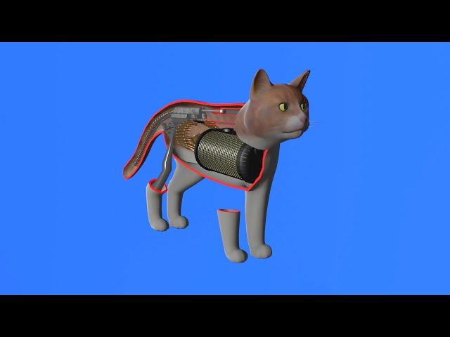 How a cat works