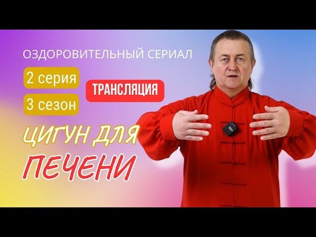  ЦИГУН ДЛЯ ПЕЧЕНИ И ЖЕЛЧНОГО ПУЗЫРЯ | 2 серия. 3 сезон. Оздоровительный сериал Виктора Стерликова