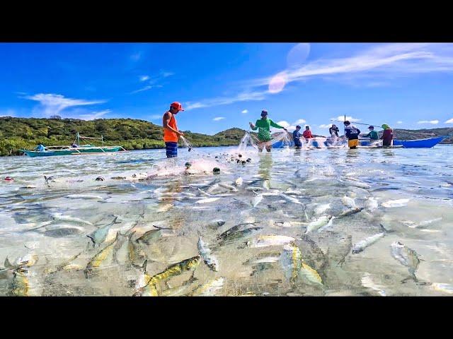 Bihira Mangyare To! Pinakamaraming Isdang Nilambat Sa Mababaw | Catch & Sell