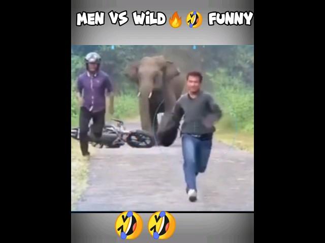 Men vs wild #funny #menvswild #beargrylls  spoof